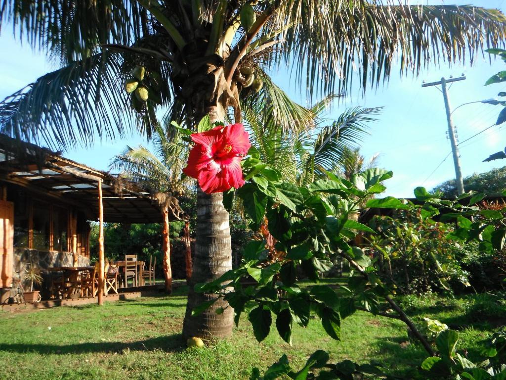 Mamma Nui Glamping Villa Hanga Roa Dış mekan fotoğraf